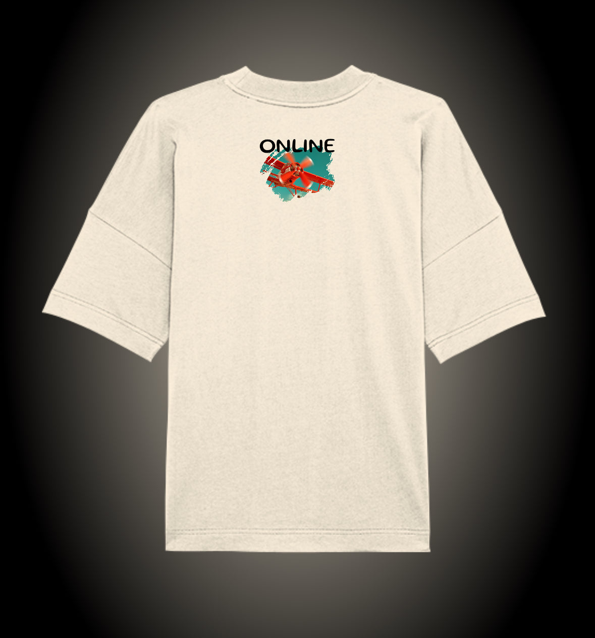 Online Small Plane
