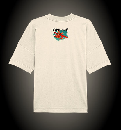 Online Small Plane