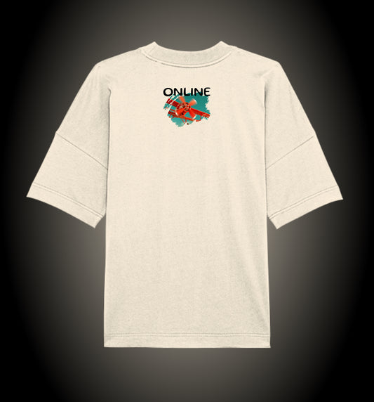 Online Small Plane