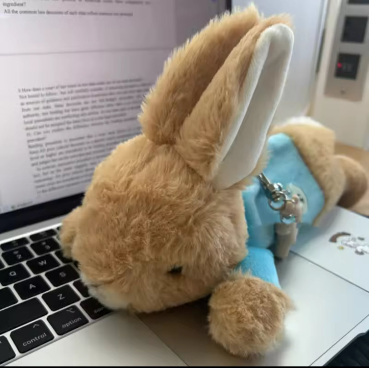 Estuche Peluche Conejo