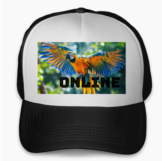 Gorra Online Wow