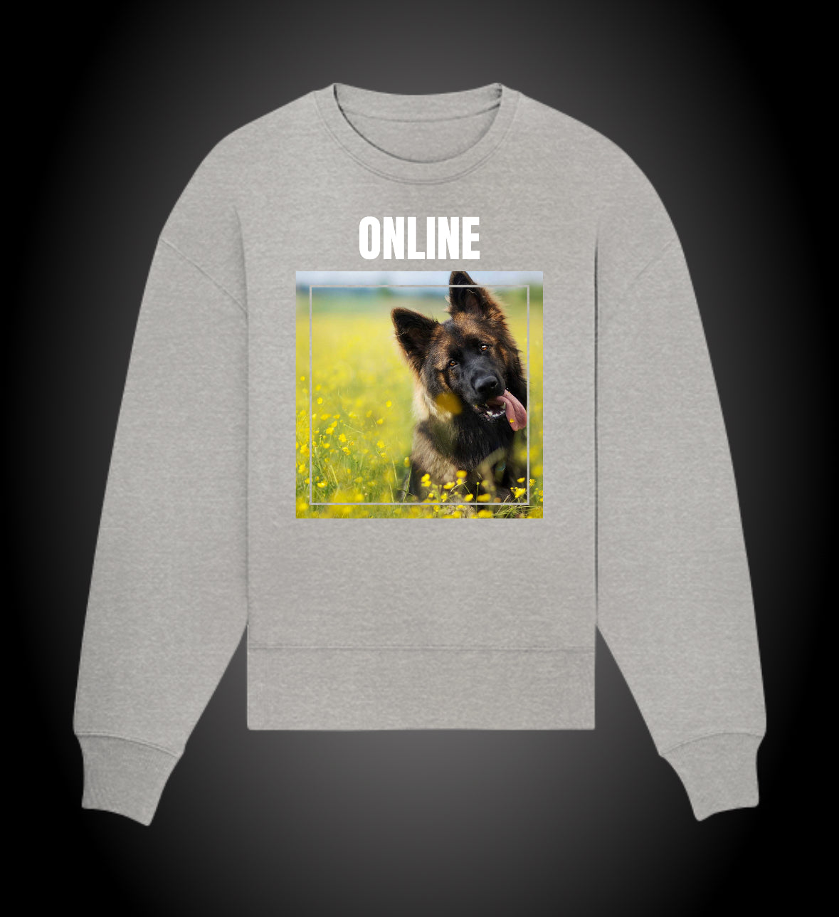 Sudadera Online PastonAleman