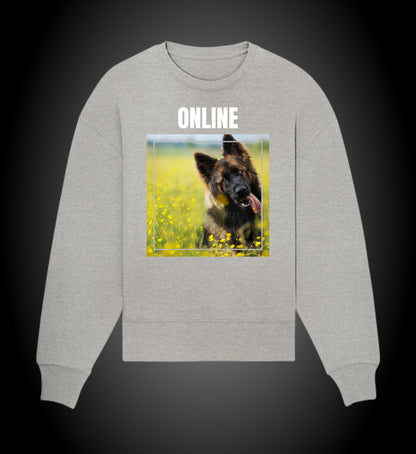 Sudadera Online PastonAleman