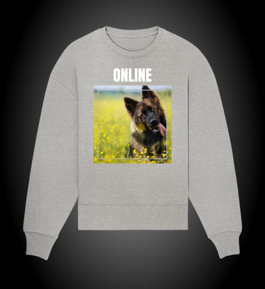 Sudadera Online PastonAleman