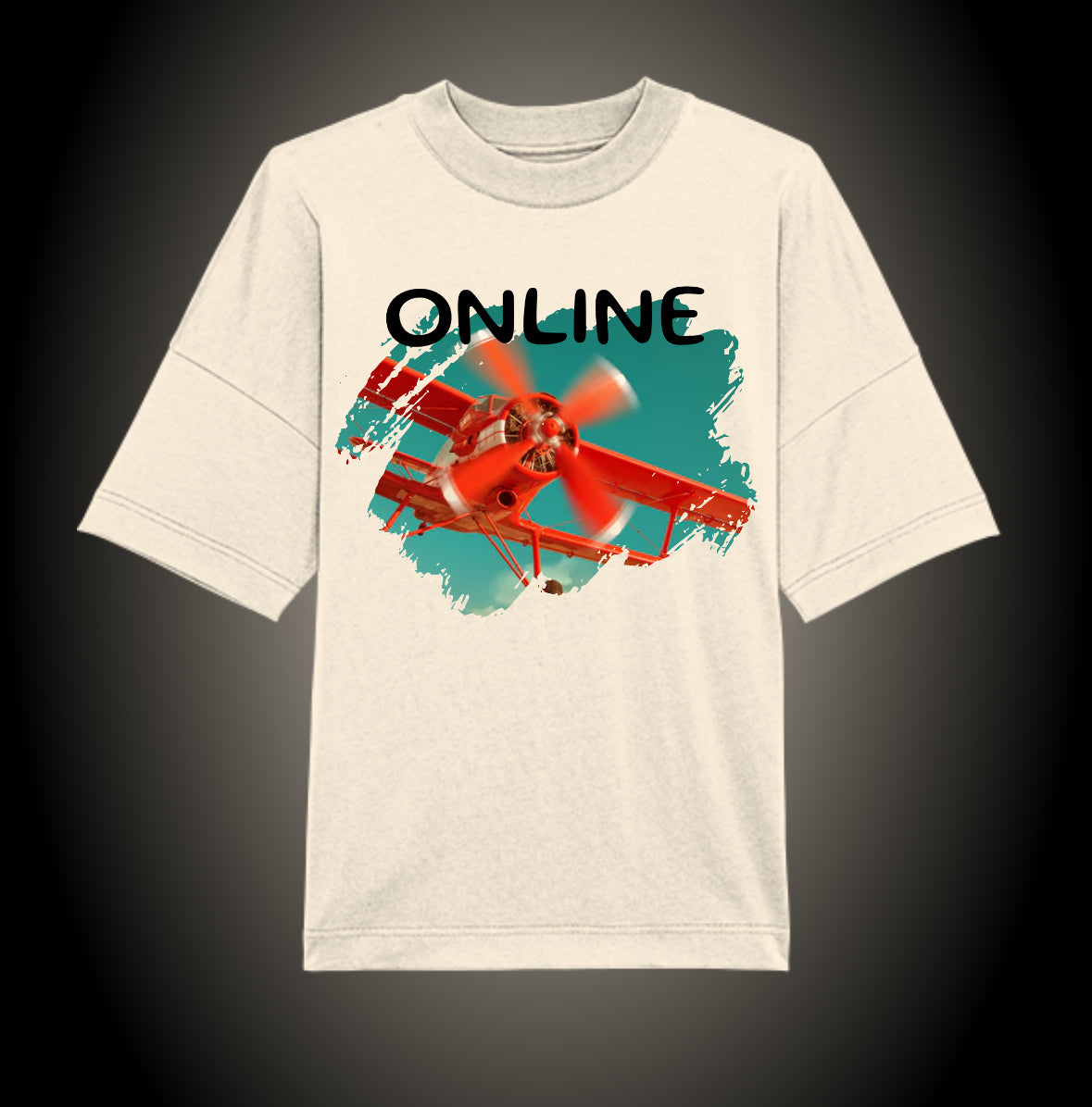 Online Small Plane